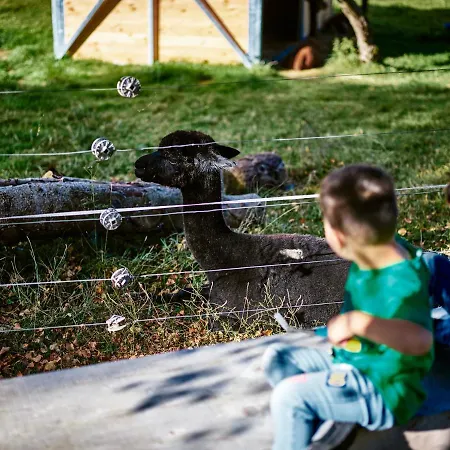 Hotel Erlebnisland Grizzlybaer *