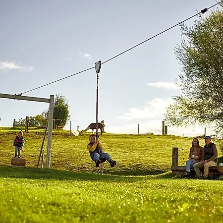 Erlebnisland Grizzlybär Hotel Langenbuhl