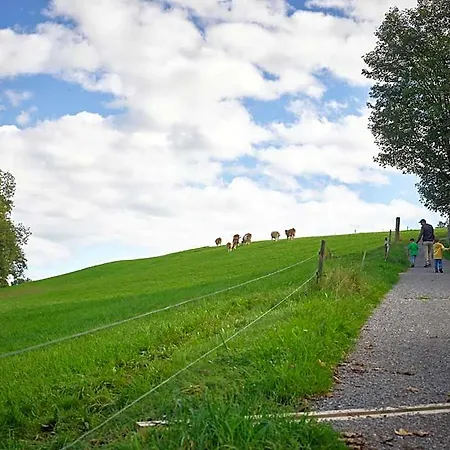Erlebnisland Grizzlybär Langenbuhl