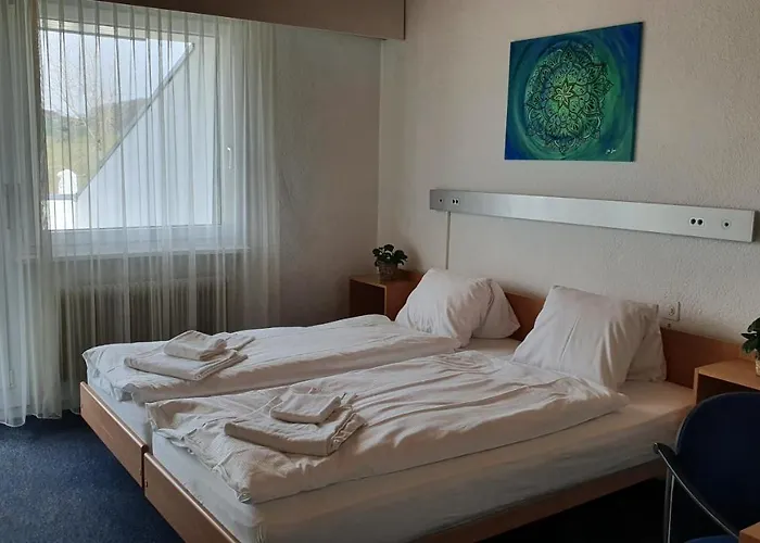 Erlebnisland Grizzlybaer *