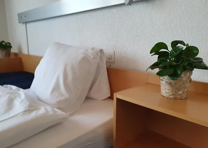 Erlebnisland Grizzlybaer Hotel Langenbuhl