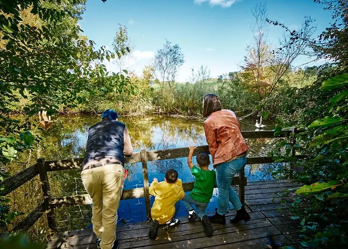 Erlebnisland Grizzlybaer