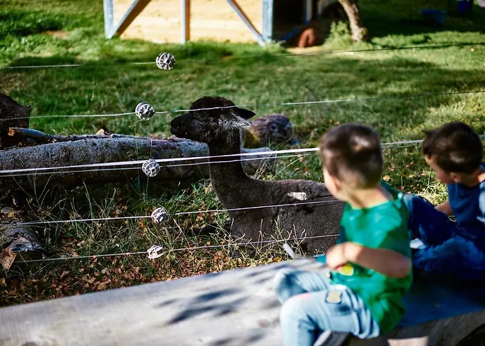 מלון Erlebnisland Grizzlybaer *