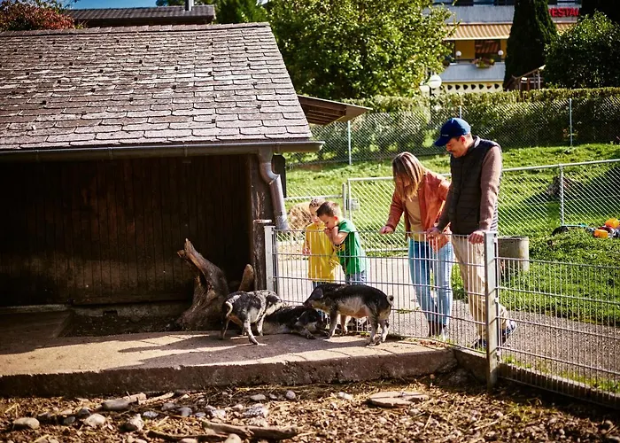 Erlebnisland Grizzlybaer Langenbuhl