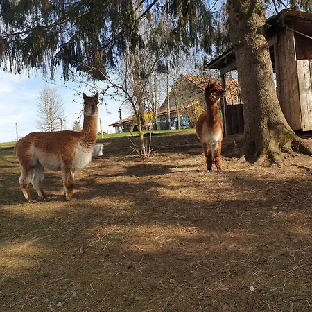 Erlebnisland Grizzlybaer Hotel *