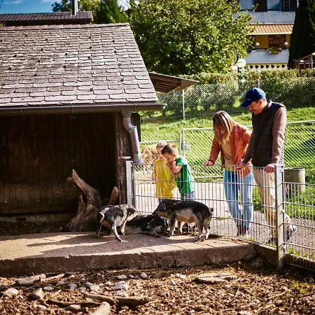 Erlebnisland Grizzlybaer Langenbuhl